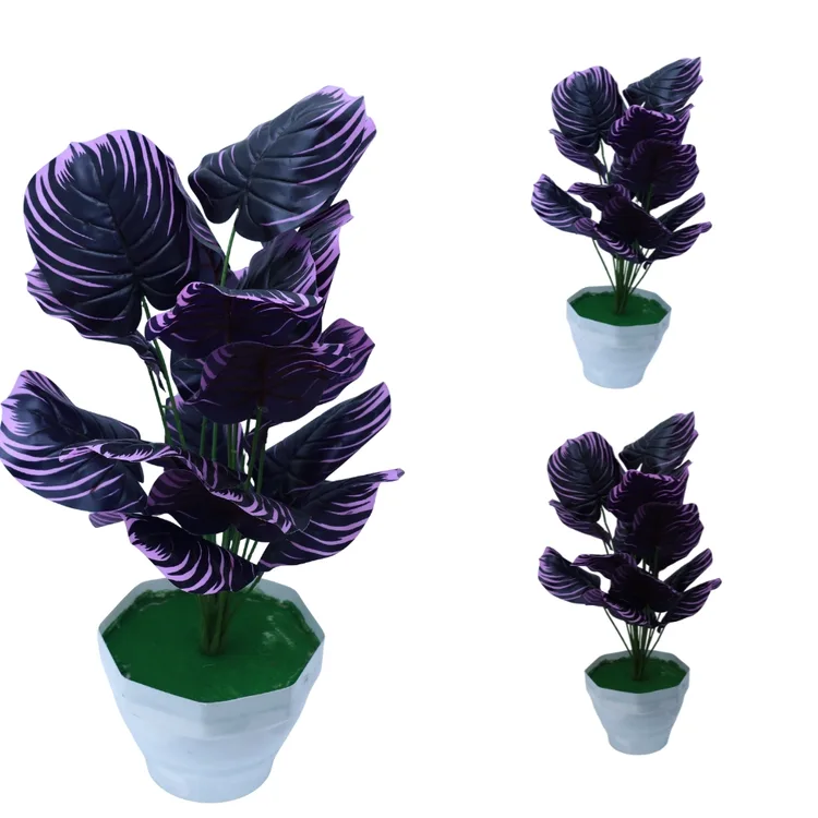 Purple Striped Calathea Peacock Plant in Pot | Live Plant | Indoor Plants For Home  | Air Purifying Plant | Live Plant With Pot For Home Decor