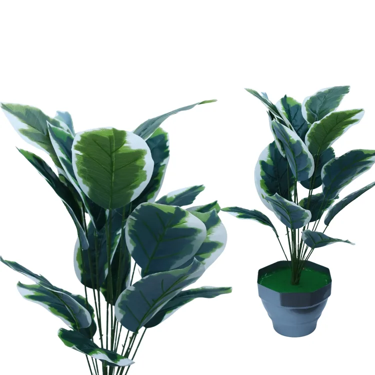 Artificial Ficus Elastica Rubber Plant in Pot | Artificial Green & White Variegated Leaf Plant with Decorative Pot | Realistic Indoor Foliage Plant  | for Home, Office & Living Room Décor