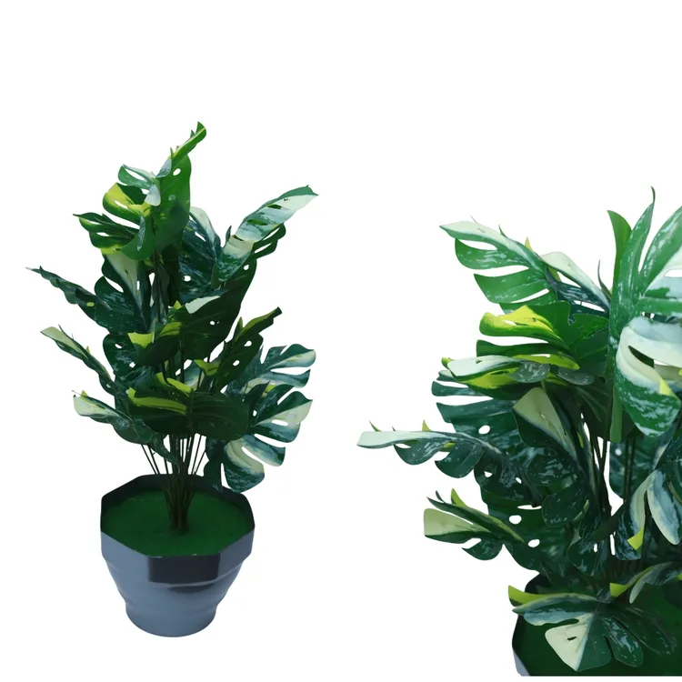 Split-Leaf Monstera Deliciosa in Pot | Decorative Pot | Realistic Green & White Tropical Foliage Plant for Home, Office & Indoor Décor