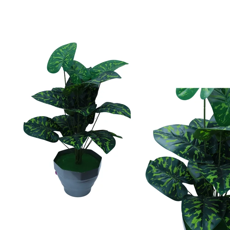 Emerald Marble Evergreen in Pot | Artificial Green Variegated Leaf Plant with Decorative Pot | Realistic Indoor Foliage Plant  | for Home, Office, Living Room & Bedroom Décor | Low Maintenance Artificial Plant