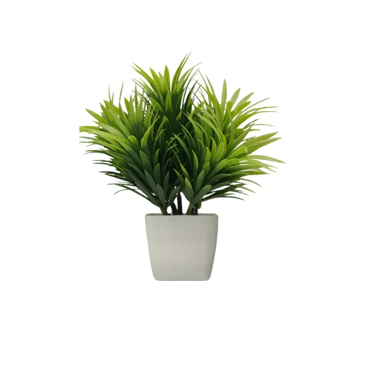 Variegated Agave Greenery — view 4