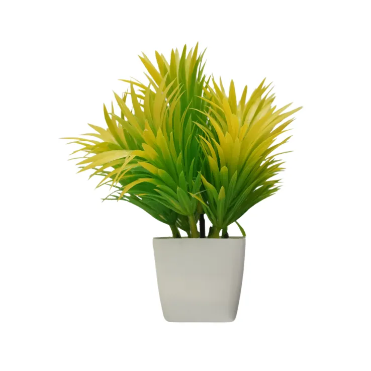 Variegated Agave Greenery
