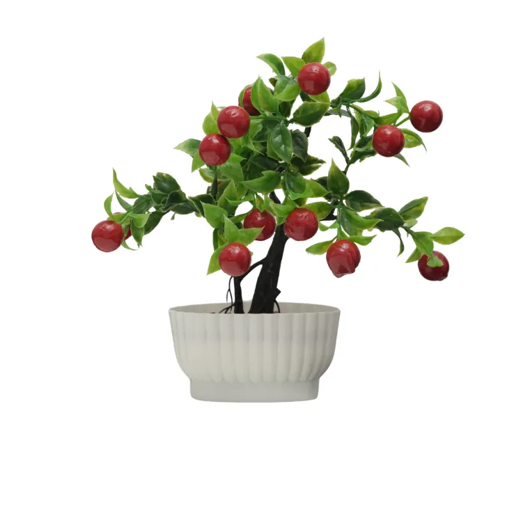 Red Cherry Berry Bonsai