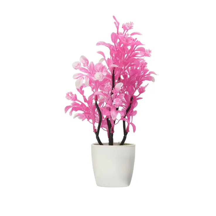 Vibrant Pink Leaf Bush