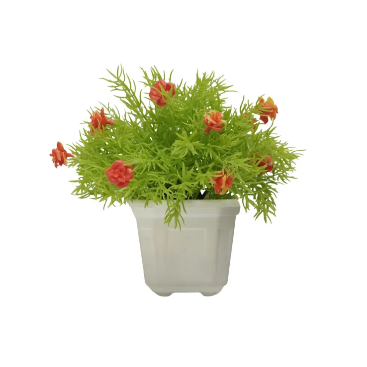 Red Blossom Pine Shrub
