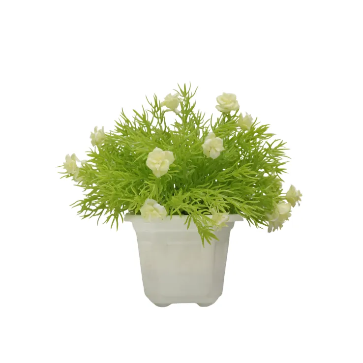Red Blossom Pine Shrub — view 5
