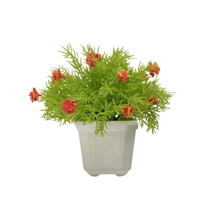 Red Blossom Pine Shrub — view 6