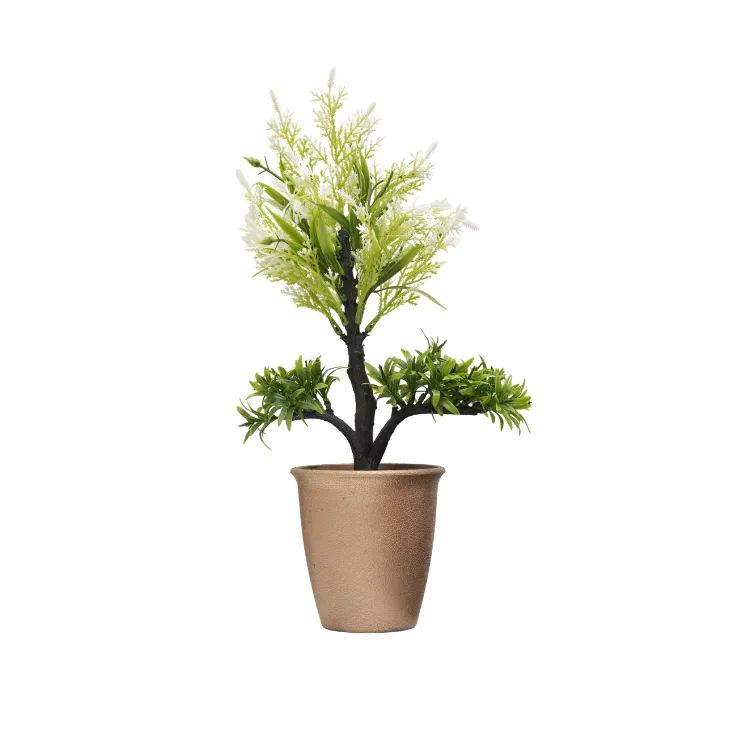 Pink Cypress Cedar Topiary — view 3