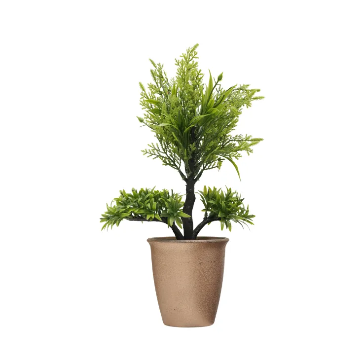 Pink Cypress Cedar Topiary — view 4