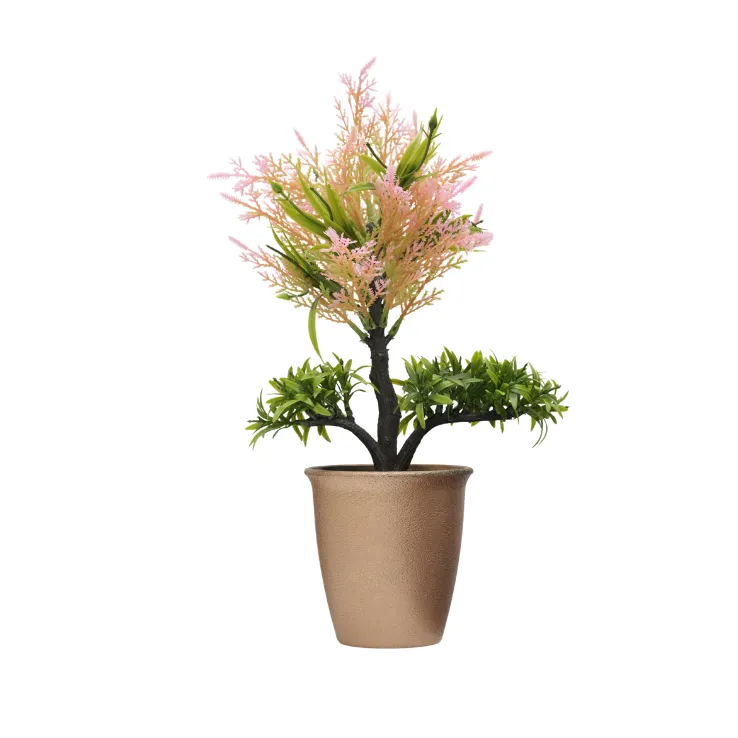Pink Cypress Cedar Topiary