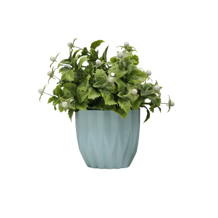 White Star Bud Mint Shrub
