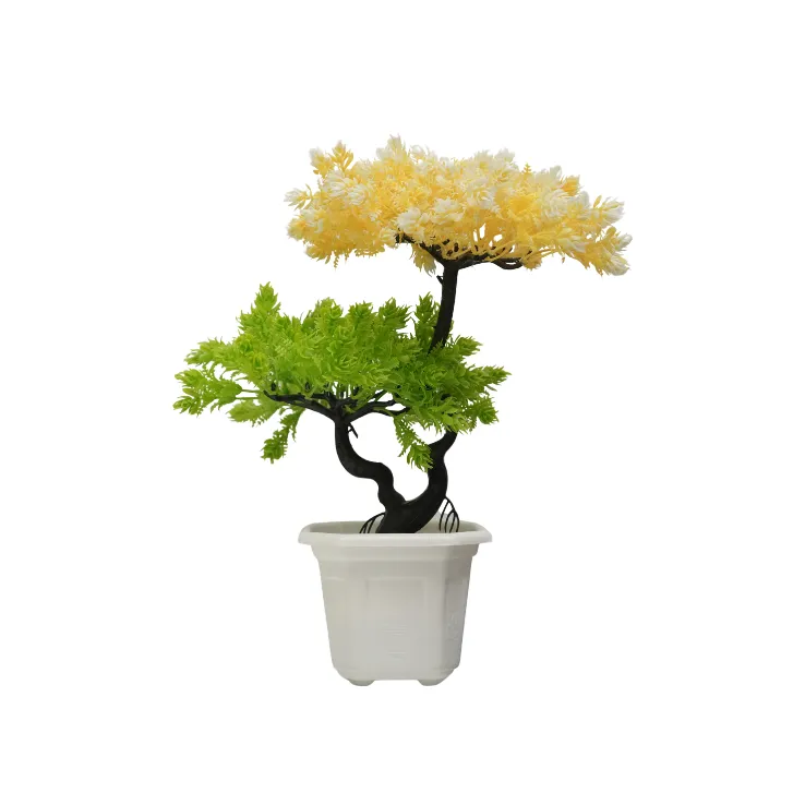 Two-Tone Pink & Green Cedar Bonsai — view 4