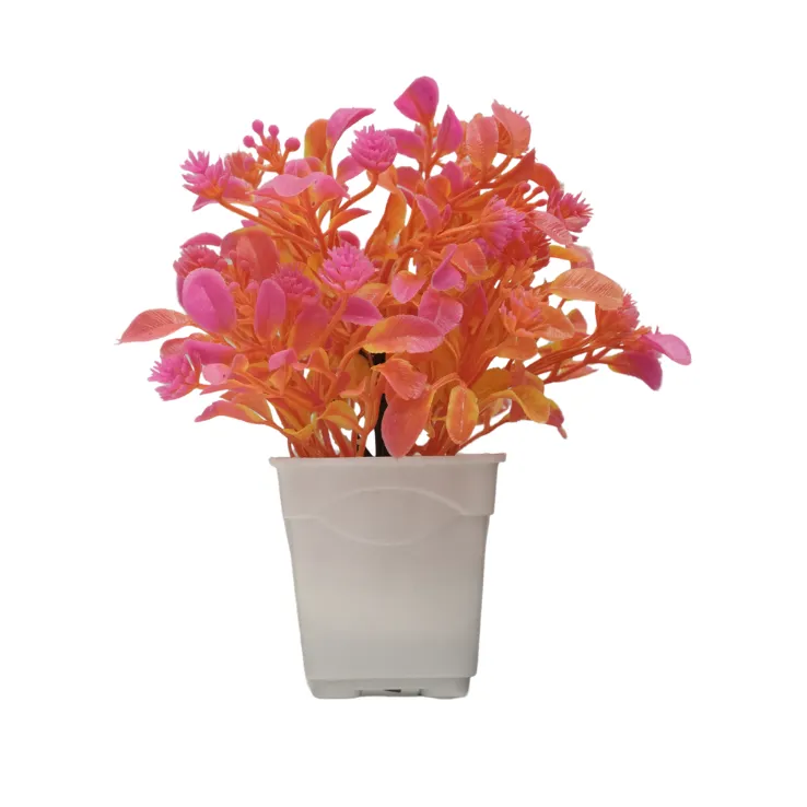 Golden Blossom Flower Bush — view 4