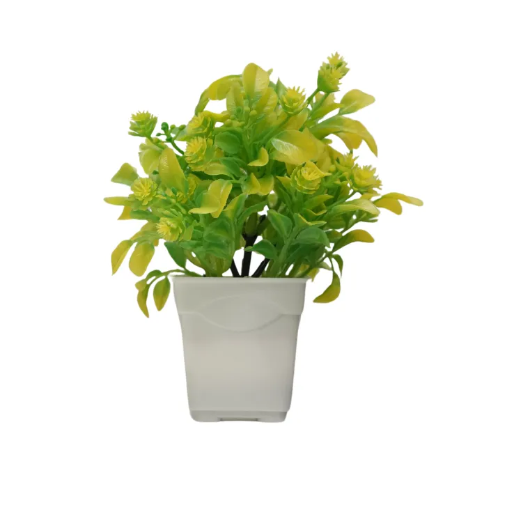Golden Blossom Flower Bush — view 5