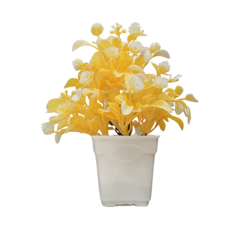 Golden Blossom Flower Bush