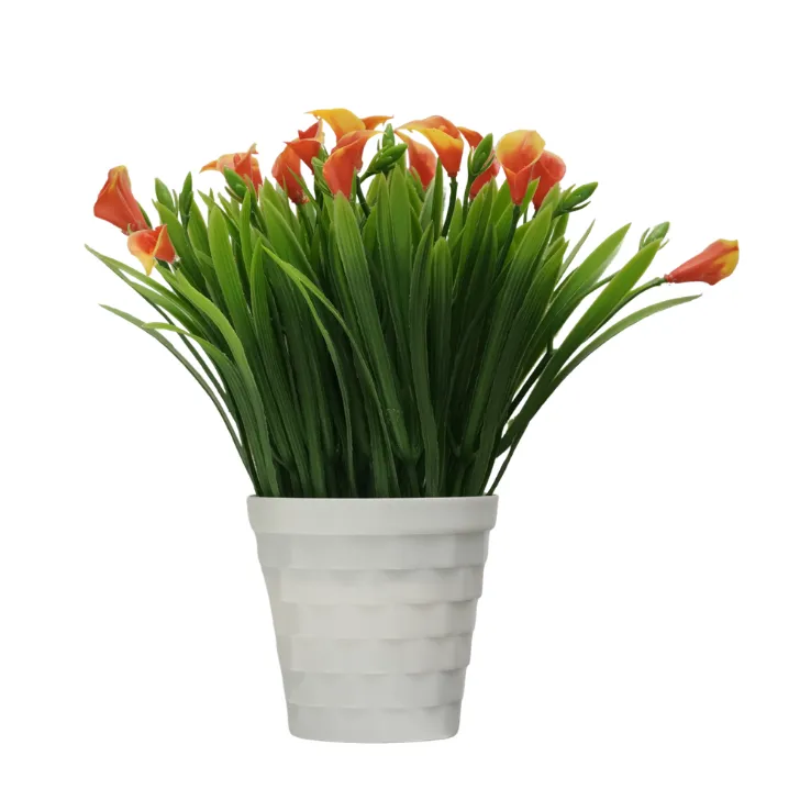 Orange Calla Lily Grass Shrub — view 3