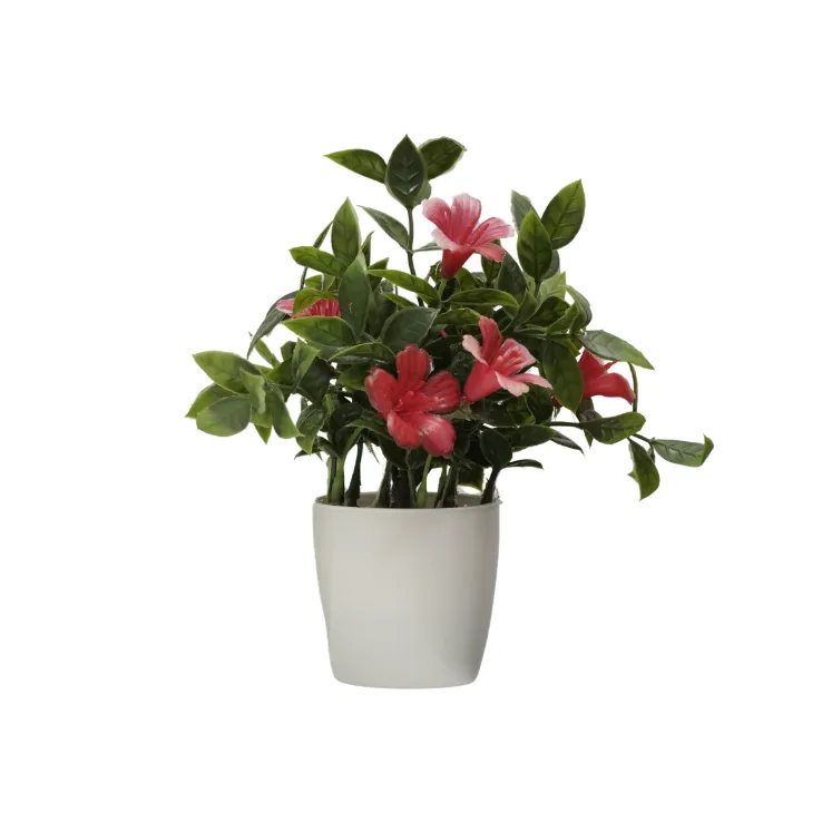 Pink Trumpet Lily Bush — view 5