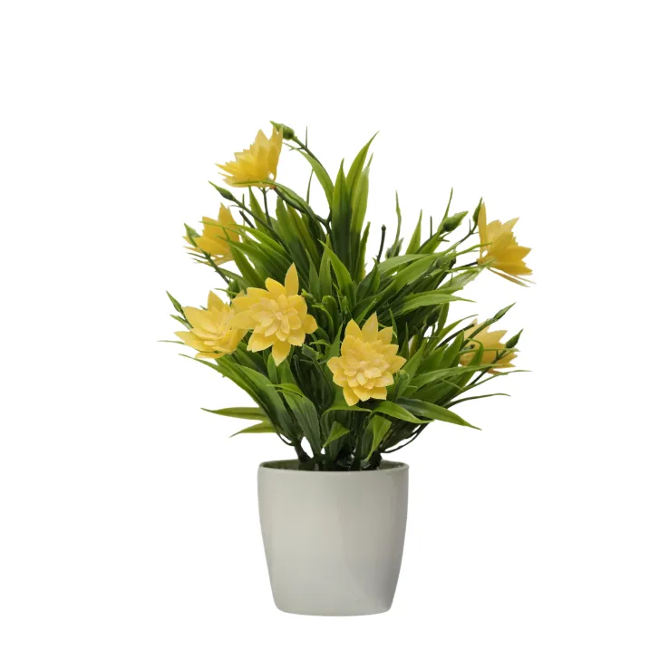 Yellow Lotus Blossom Shrub