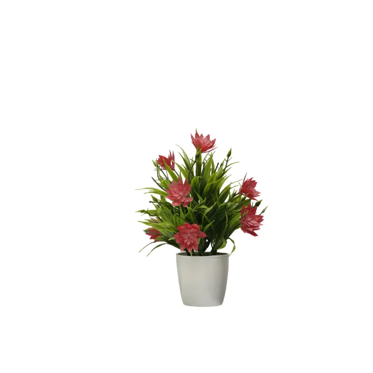 Yellow Lotus Blossom Shrub — view 4