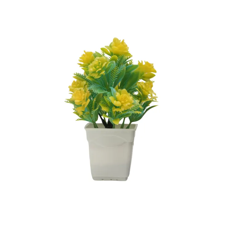 Golden Sunflower Shrub