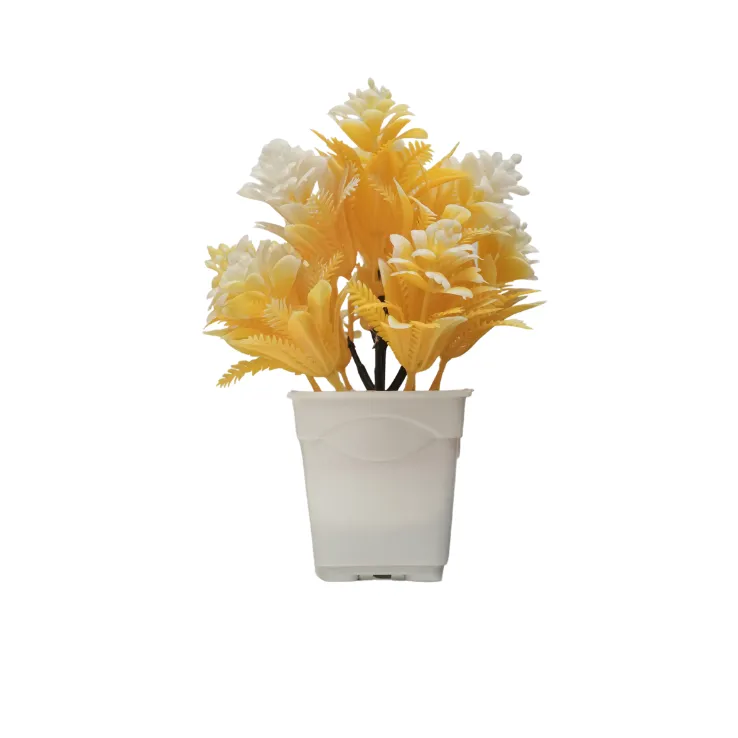 Golden Sunflower Shrub — view 4
