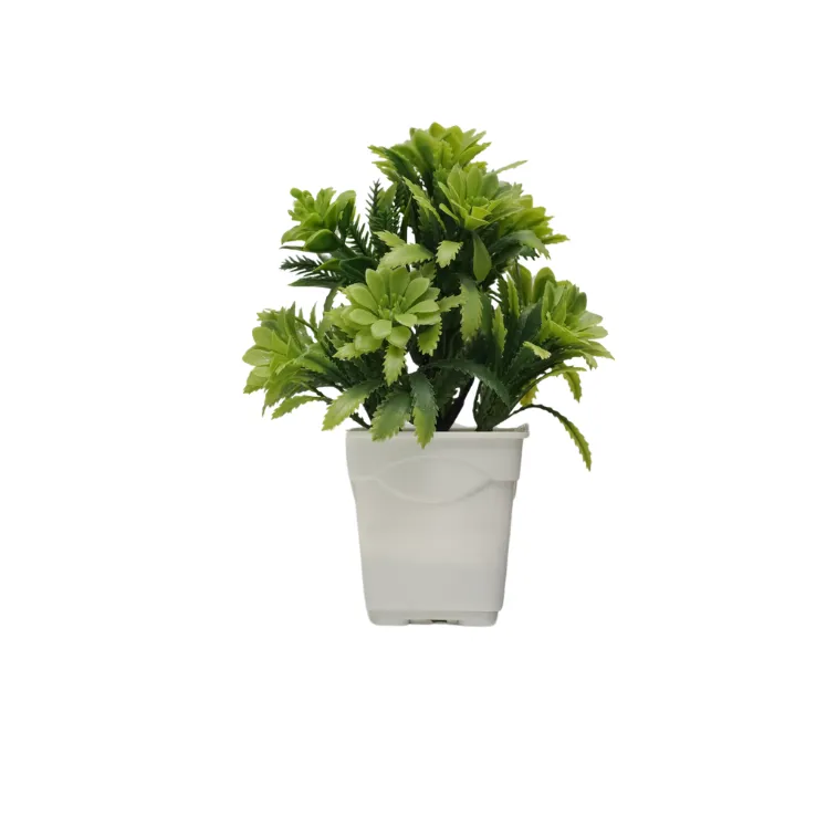 Golden Sunflower Shrub — view 5